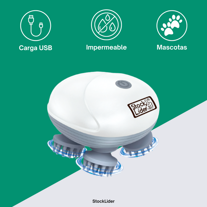 Massageador Portátil