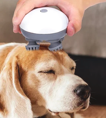 Massageador Portátil